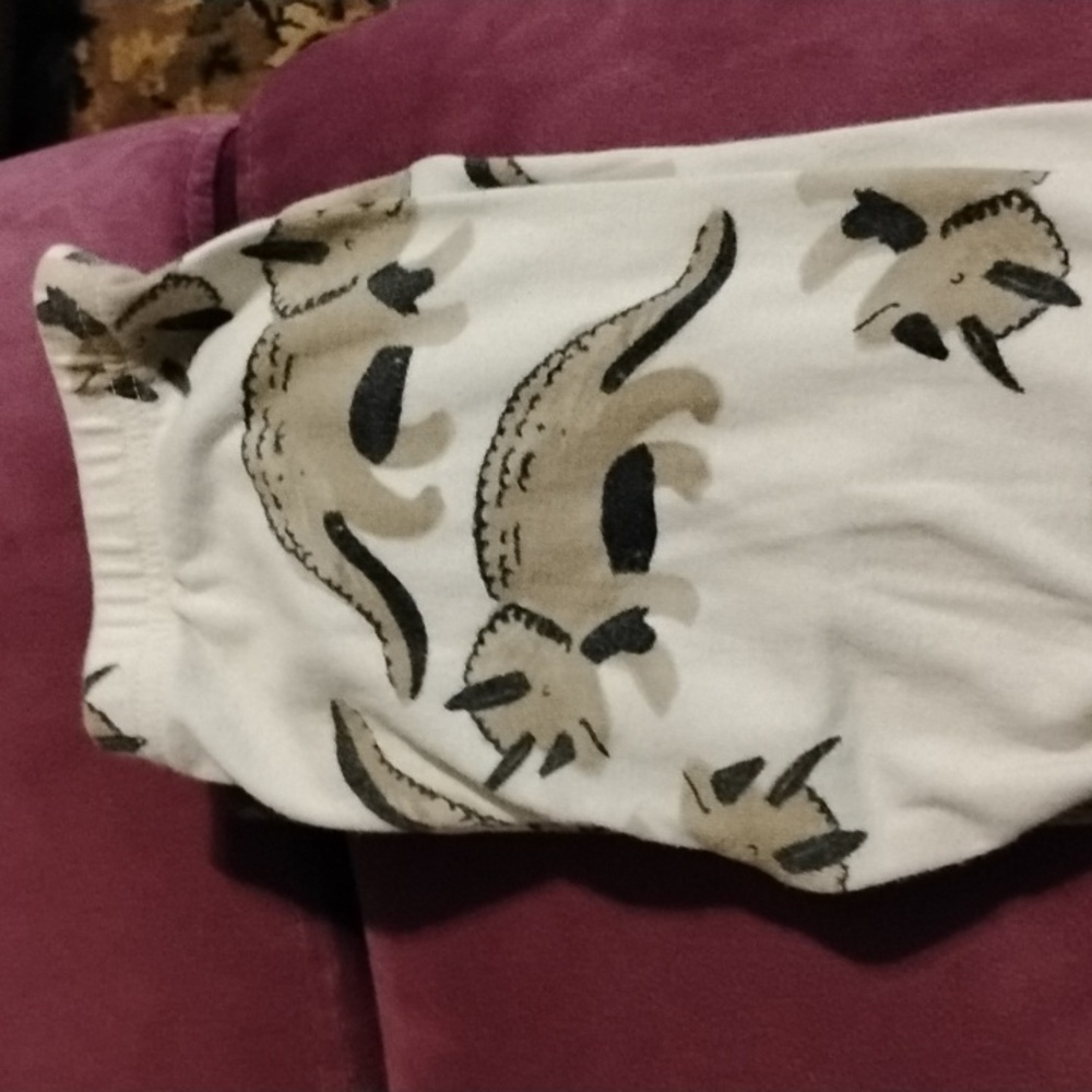Carter P.J pants
